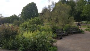 Garden in Hyde Park