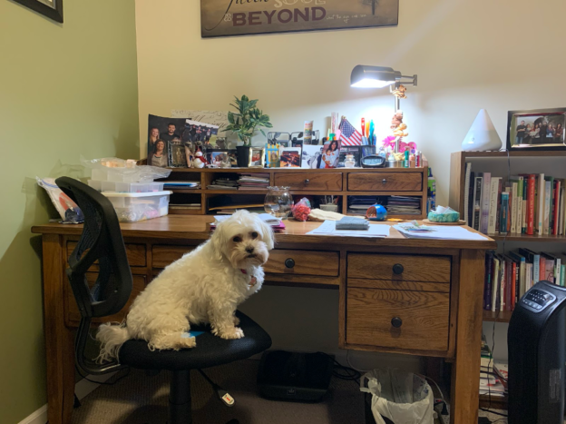 A CAS Student’s Perspective: Two Weeks Into Remote Instruction