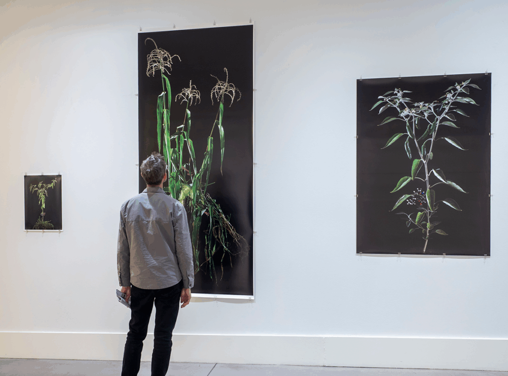 Artist Rob Carter stands in front of his art work at the gallery
