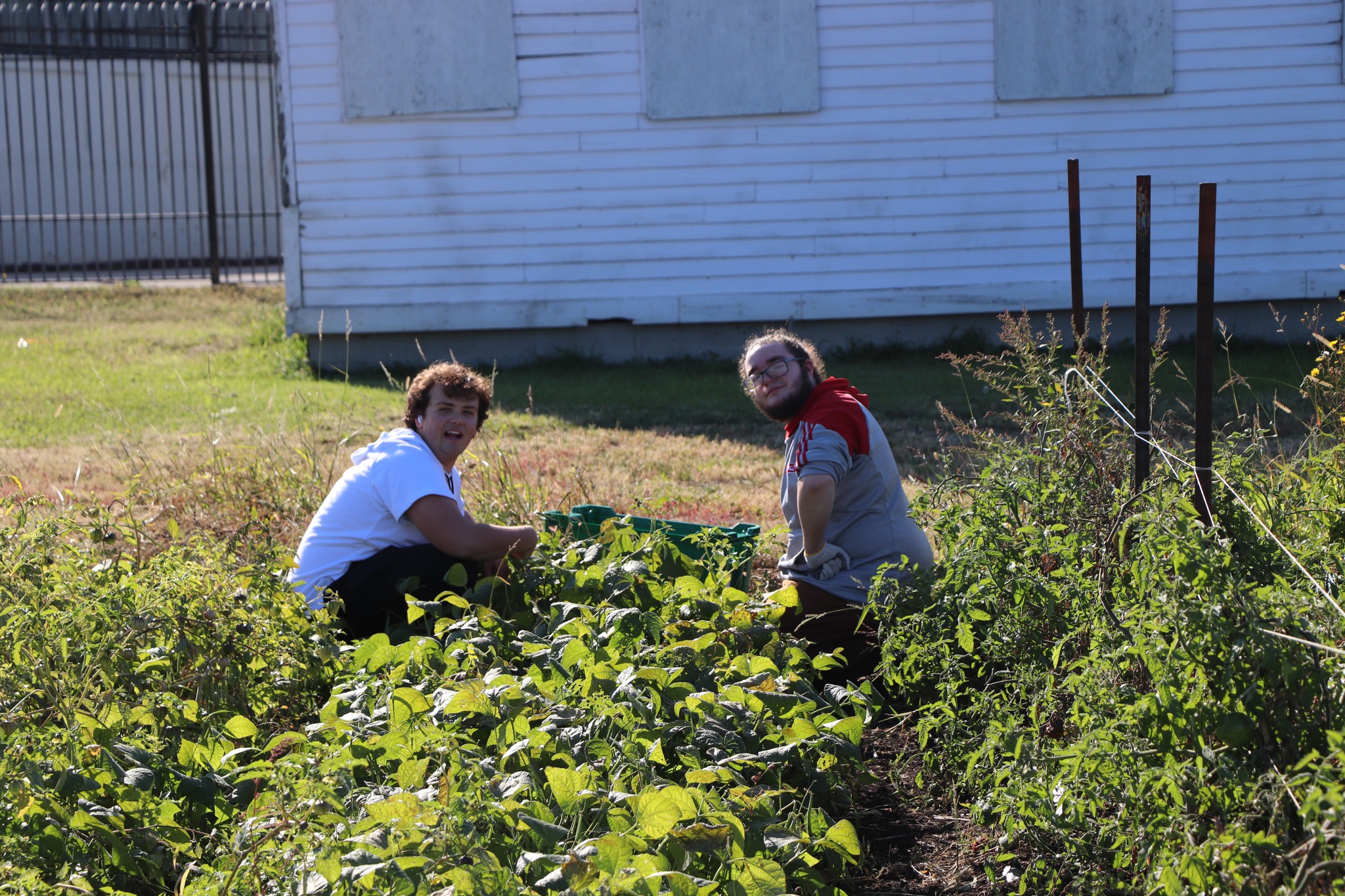 Two students smile while harvesting veggies at an urban garden.